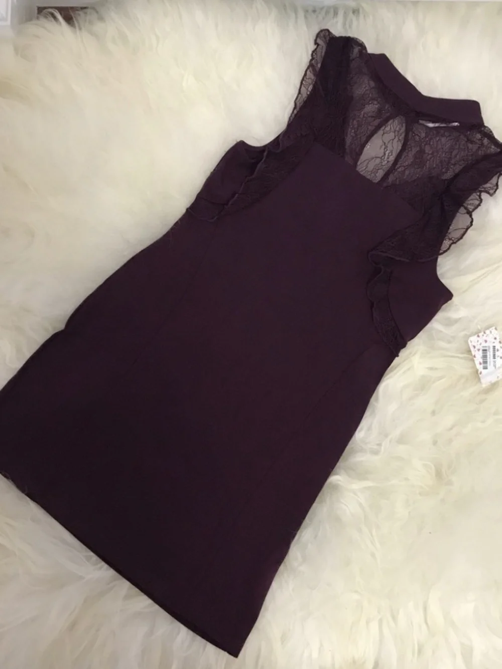 Free People Beaumont Muse Lace Trim Dress 0319